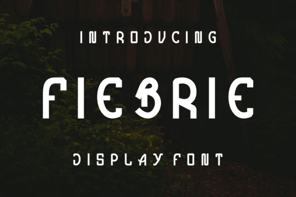 Fiebrie Display Font for Scroll-Stopping Marketing